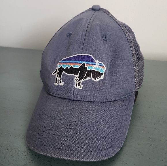 Patagonia Fitz Roy Trout Trucker Hat for Mens - Picture 1 of 9